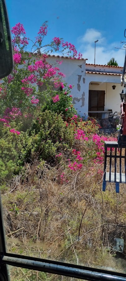 Escavaserviçosjardim- ROMAR, GardenScava lda