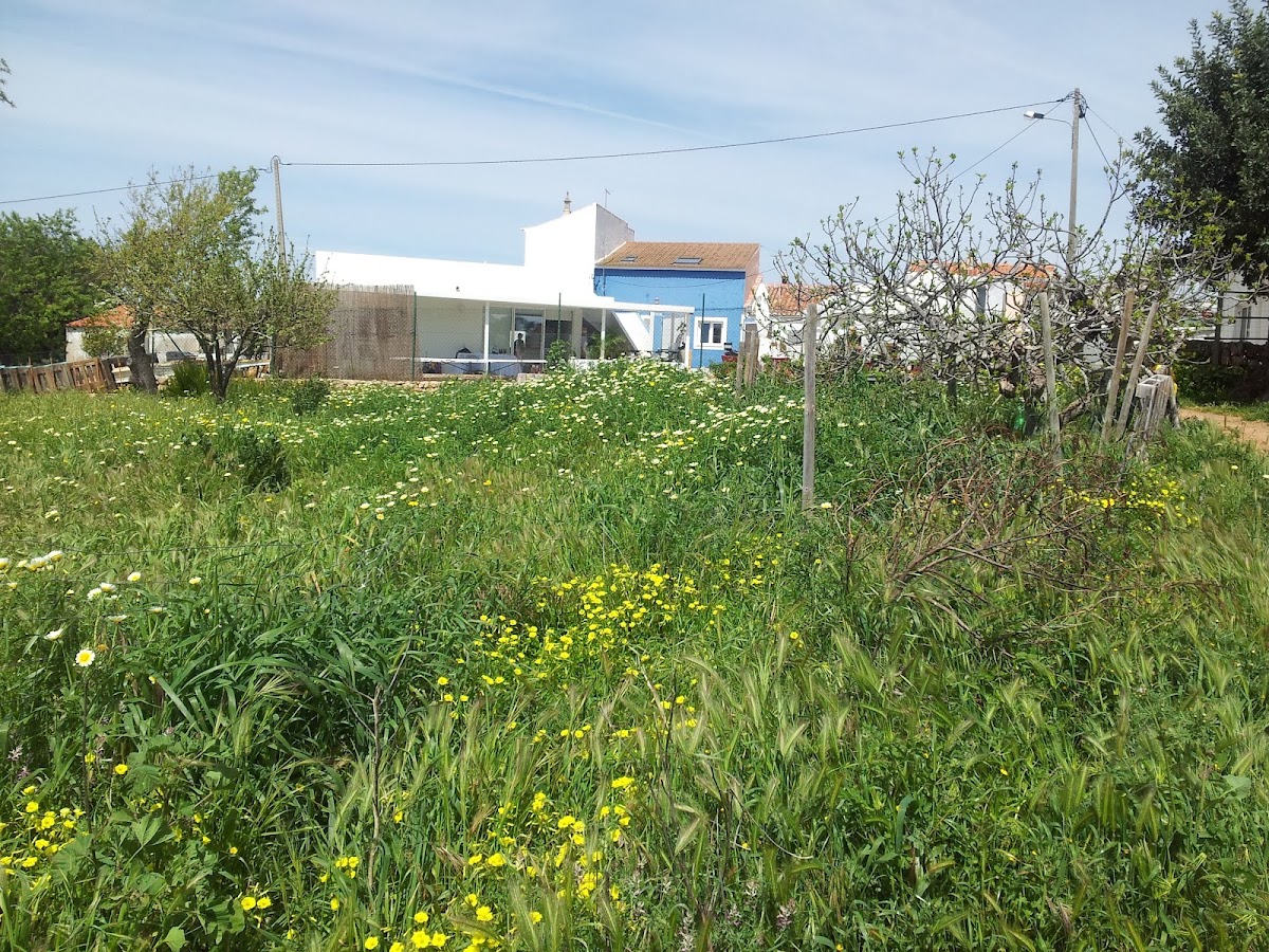 Jpi - Estuques, Lda. foto 7