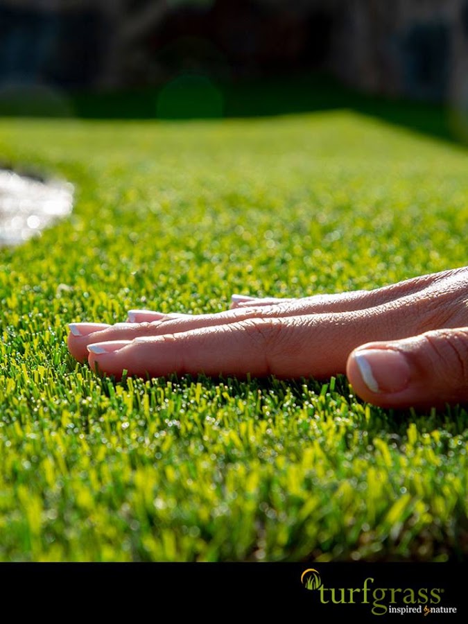 Grass Planet