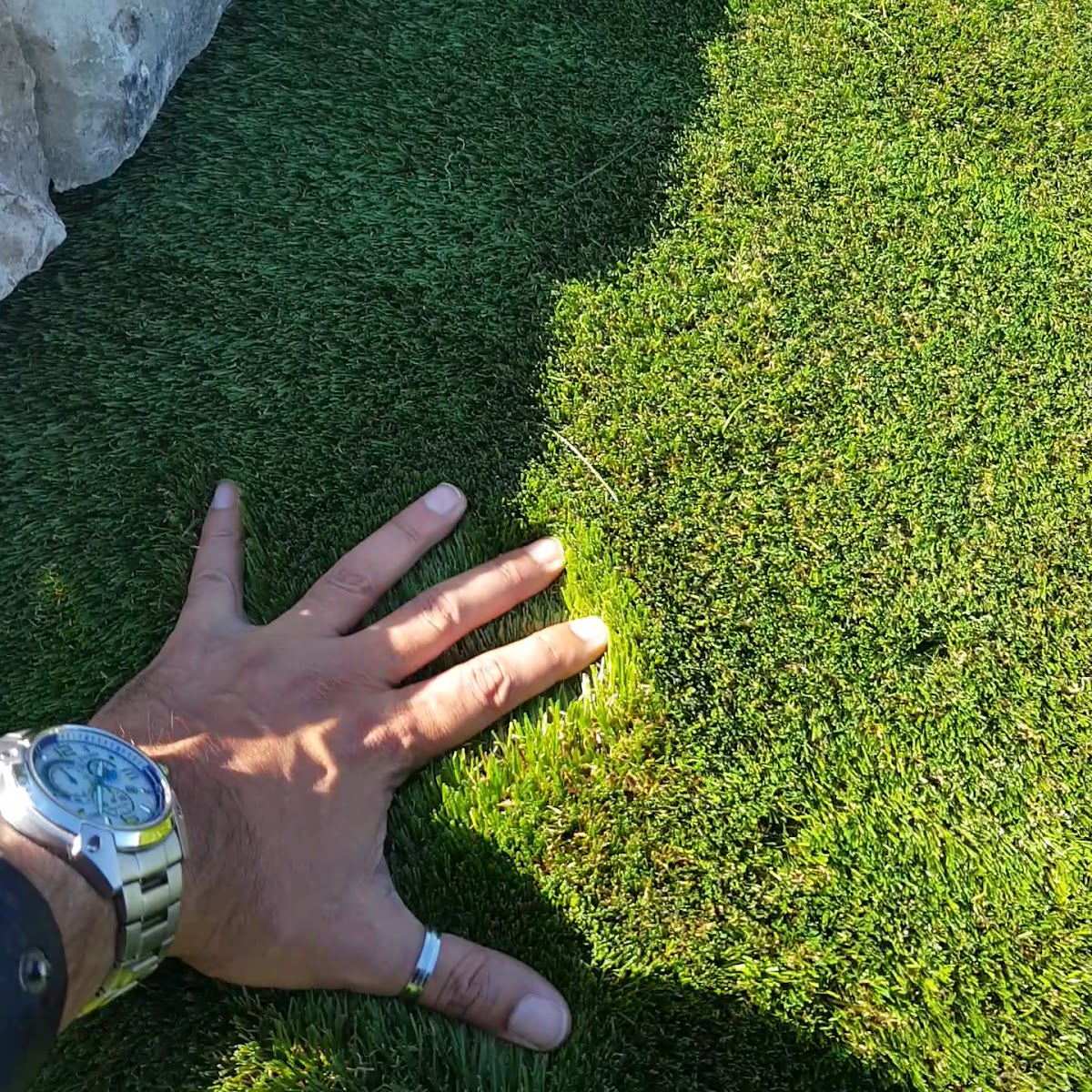Grass Planet foto 3