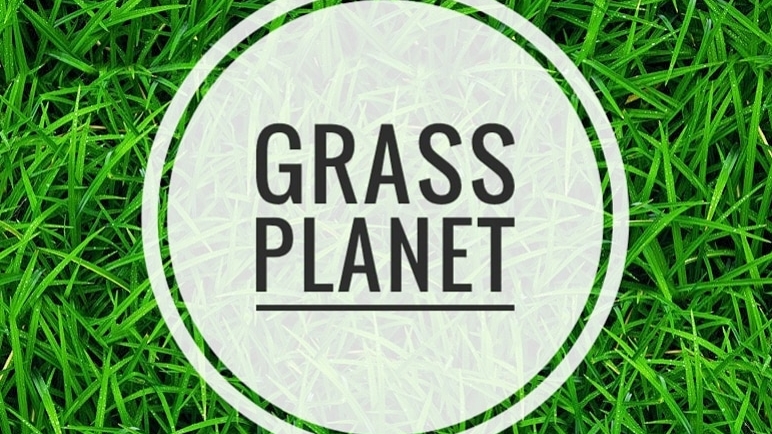 Grass Planet foto 6