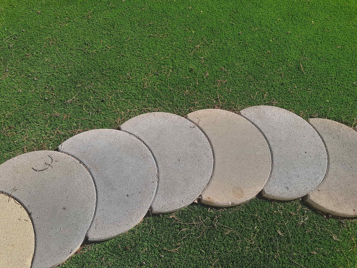 Grass Planet foto 8