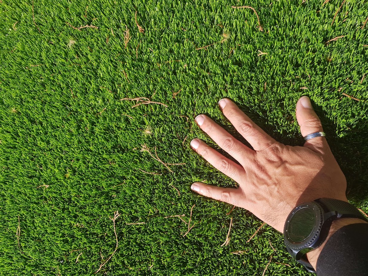 Grass Planet foto 9