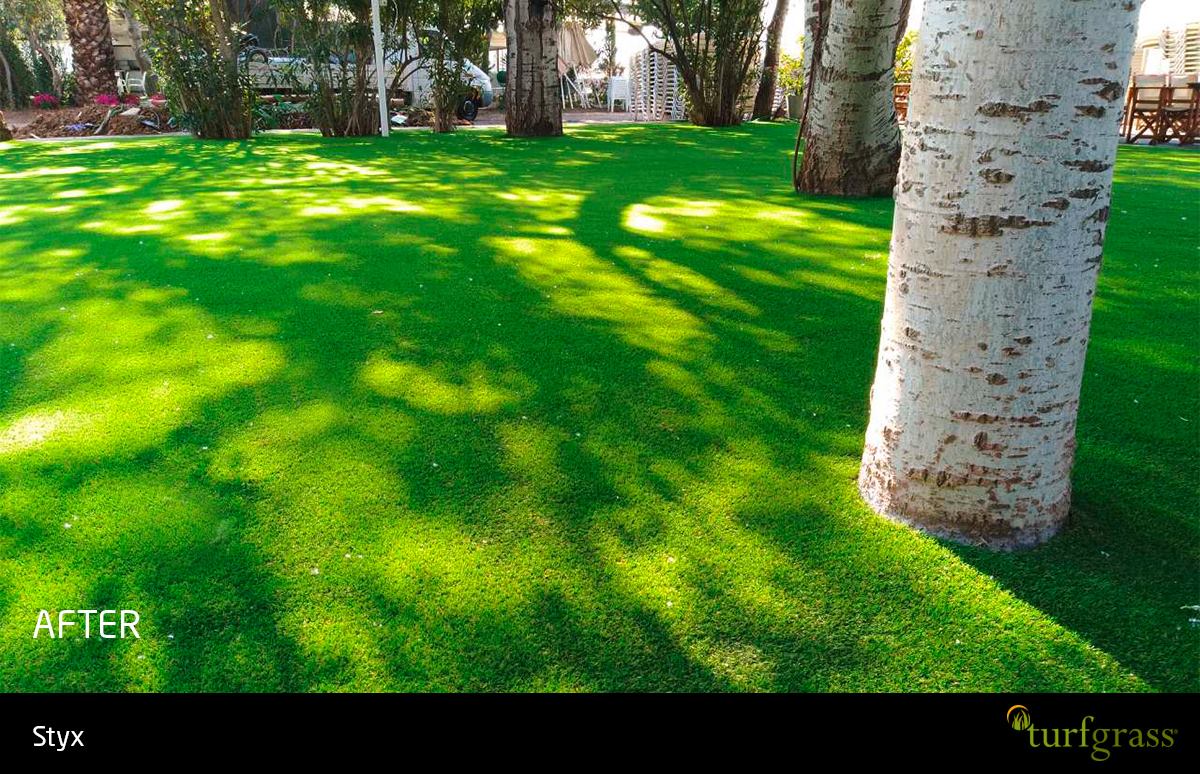 Grass Planet foto 10